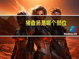 猪盘肠是哪个部位