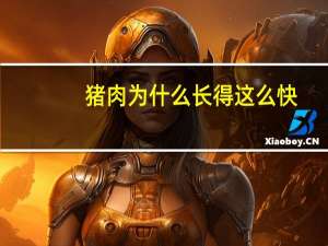 猪肉为什么长得这么快