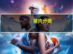 猪肉分类