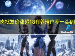 猪肉批发价涨超18% 有养殖户养一头猪赚100元