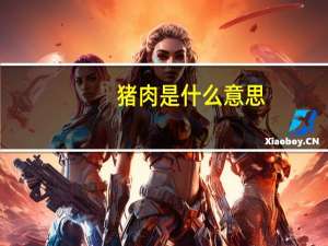 猪肉是什么意思