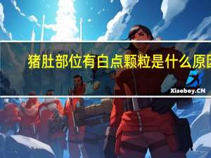 猪肚部位有白点颗粒是什么原因