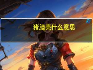 猪脑壳什么意思