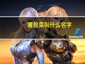 猪脸菜叫什么名字