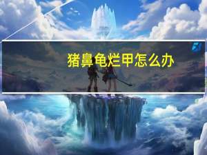 猪鼻龟烂甲怎么办