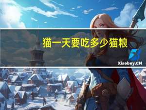 猫一天要吃多少猫粮