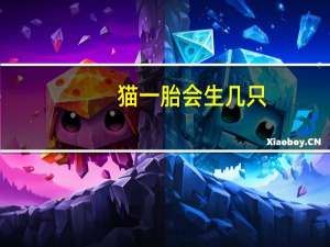 猫一胎会生几只