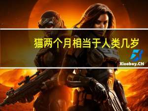 猫两个月相当于人类几岁