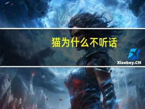 猫为什么不听话