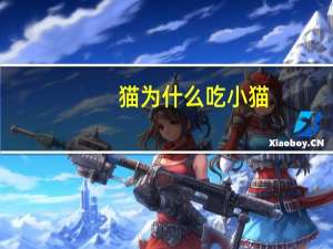 猫为什么吃小猫