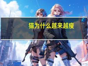 猫为什么越来越瘦