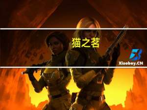 猫之茗（关于猫之茗的介绍）