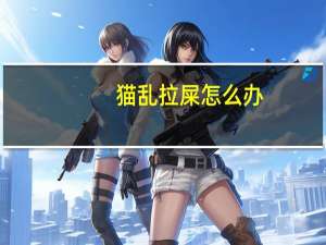 猫乱拉屎怎么办
