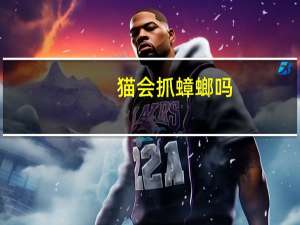 猫会抓蟑螂吗