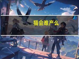 猫会难产么