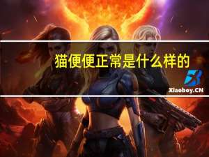猫便便正常是什么样的