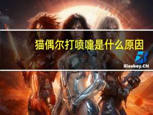 猫偶尔打喷嚏是什么原因