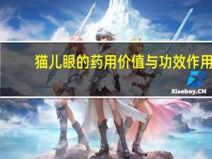 猫儿眼的药用价值与功效作用（猫儿眼）