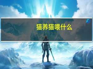 猫养猫喂什么