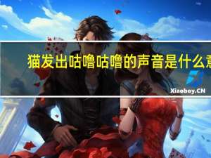 猫发出咕噜咕噜的声音是什么意