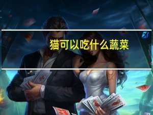猫可以吃什么蔬菜