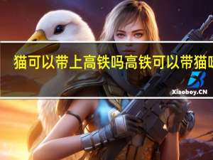 猫可以带上高铁吗高铁可以带猫咪吗