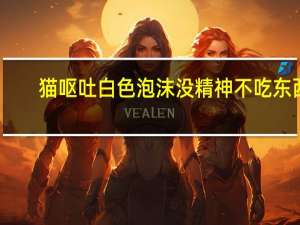 猫呕吐白色泡沫没精神不吃东西（motoq）