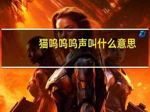 猫呜呜呜声叫什么意思