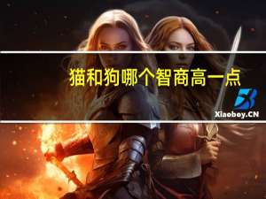 猫和狗哪个智商高一点