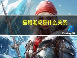 猫和老虎是什么关系