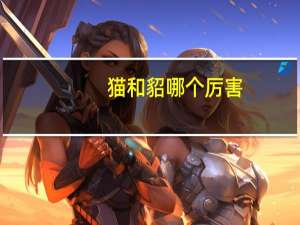 猫和貂哪个厉害