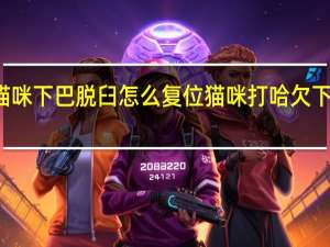 猫咪下巴脱臼怎么复位 猫咪打哈欠下巴脱臼