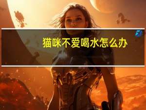 猫咪不爱喝水怎么办