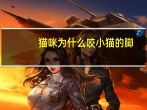 猫咪为什么咬小猫的脚