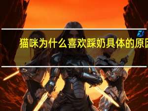 猫咪为什么喜欢踩奶具体的原因
