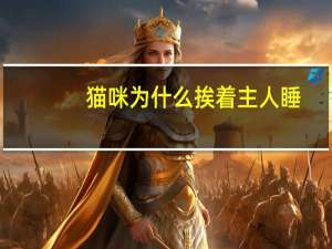 猫咪为什么挨着主人睡