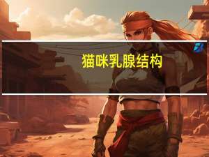 猫咪乳腺结构