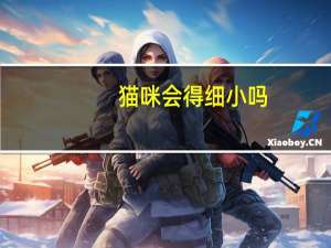 猫咪会得细小吗