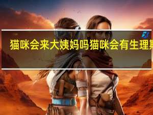 猫咪会来大姨妈吗 猫咪会有生理期吗？