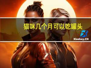 猫咪几个月可以吃罐头