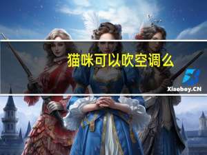 猫咪可以吹空调么