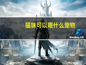 猫咪可以喂什么宠物