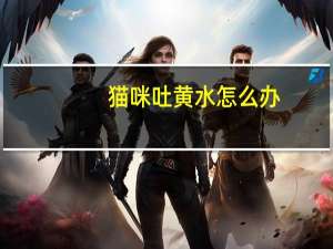 猫咪吐黄水怎么办