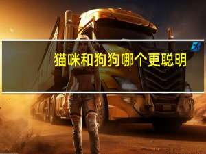 猫咪和狗狗哪个更聪明