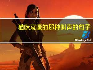 猫咪哀嚎的那种叫声的句子