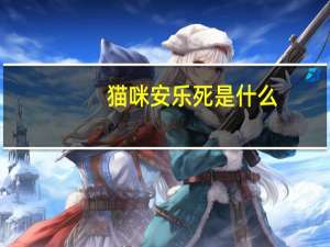 猫咪安乐死是什么（安乐死是什么）
