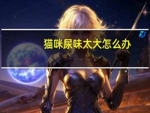 猫咪尿味太大怎么办