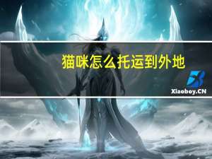 猫咪怎么托运到外地
