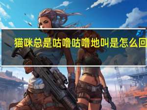 猫咪总是咕噜咕噜地叫是怎么回事