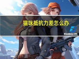 猫咪抵抗力差怎么办